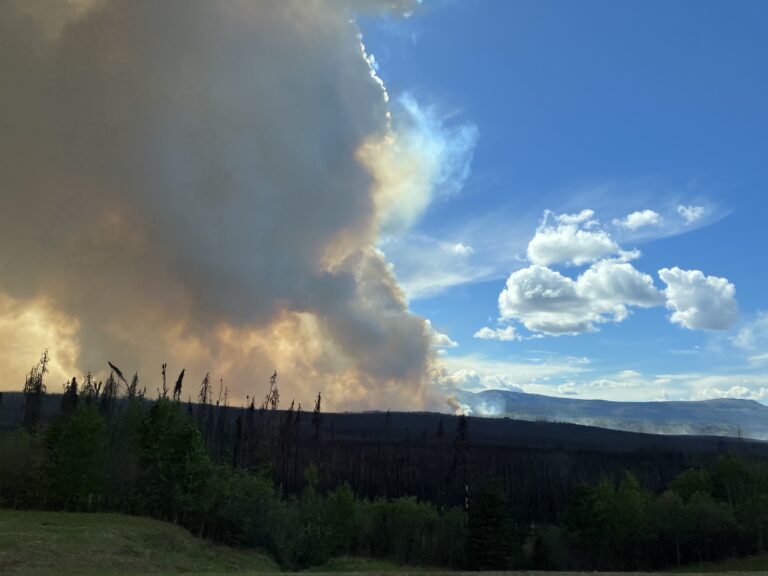 Wildfire near Fort St John ‘being held’ by B.C. Wildfire Service