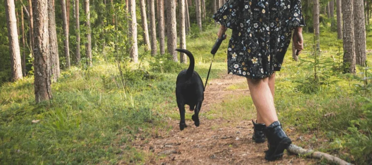 Photo of person walking a dog