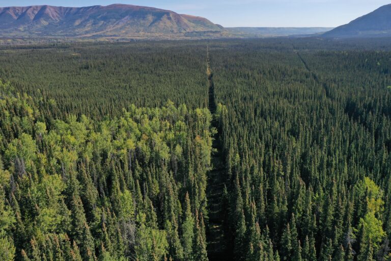 Blueberry River First Nations celebrate landmark first project with B.C. Energy Regulator