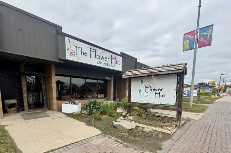 Local flower shop hopes their ‘bouquet a day’ program will help kindness bloom