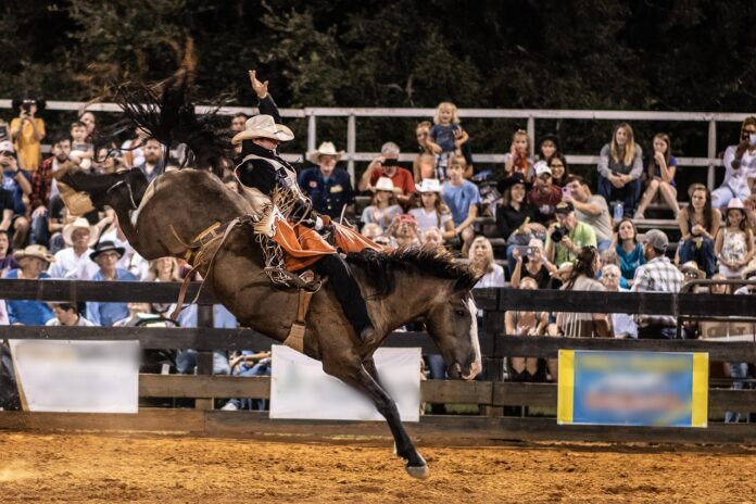 Photo of a rodeo rider.