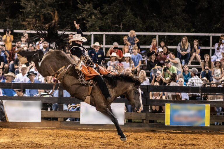 Photo of a rodeo rider.