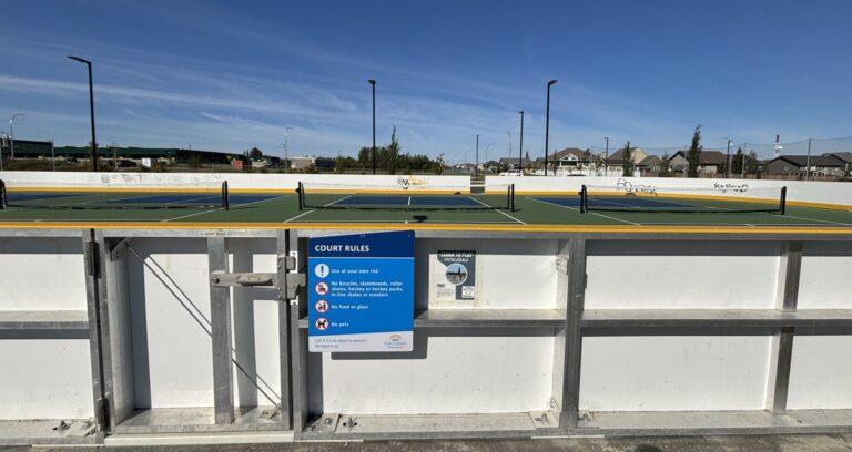 National pickleball day to make a racket in Fort St John’s Kin Park